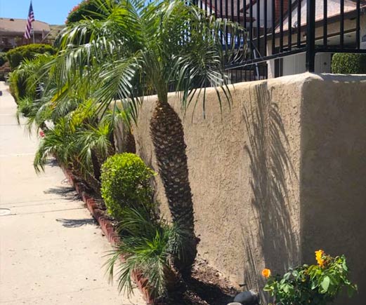 ProjectsExistingWallRestucco